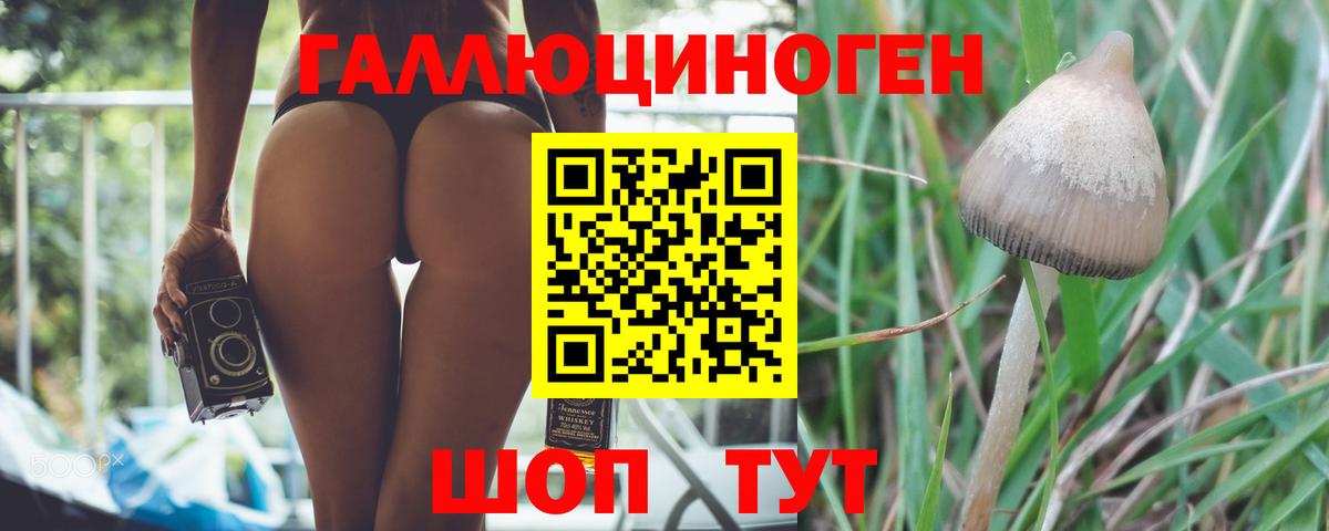 Псилоцибиновые грибы мицелий  Галлюциногенные грибы GOLDEN TEACHER  Холмск  Вход с VPN 